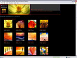 Ana Nelson website
